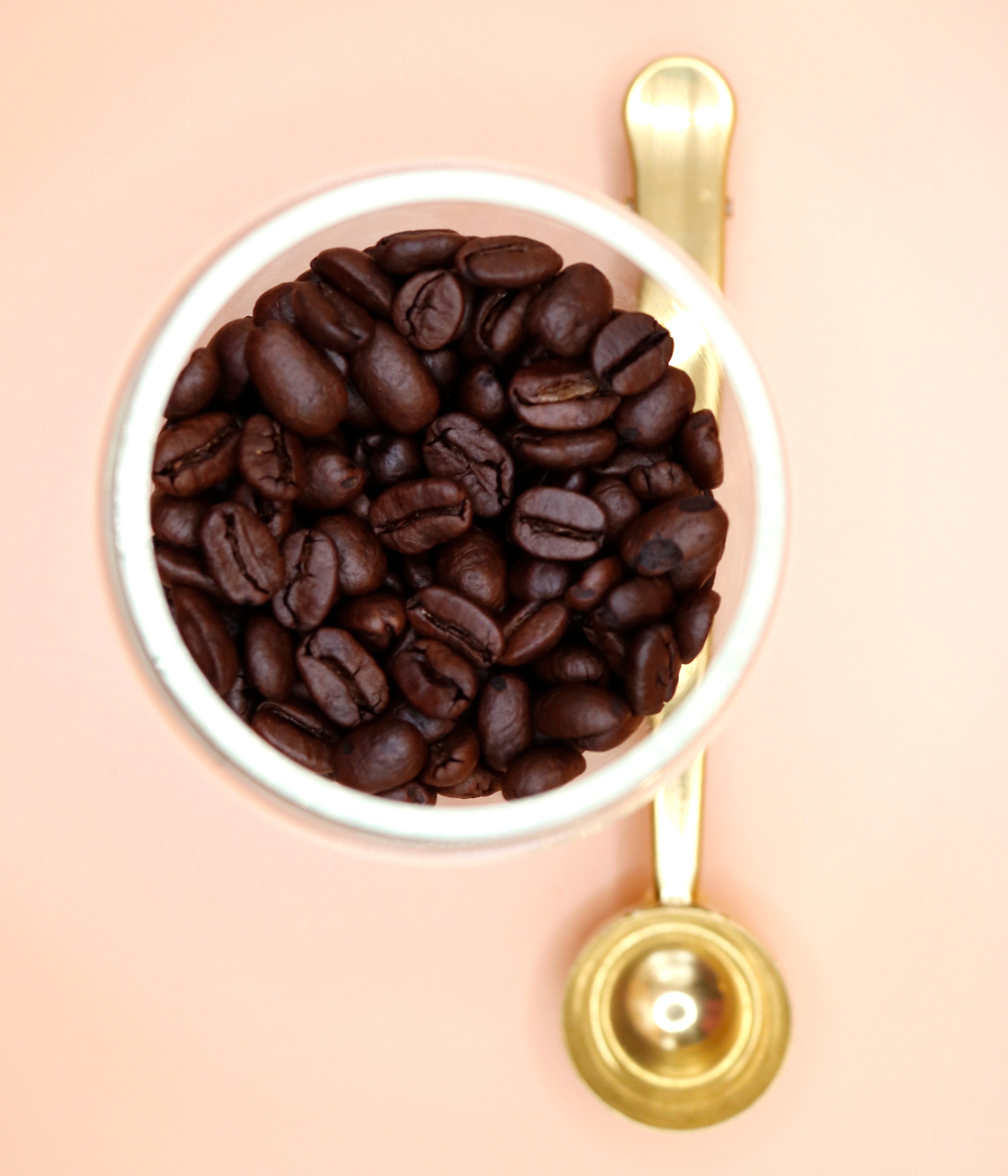 Coffee and Tea Measuring Scoop with Bag Clip